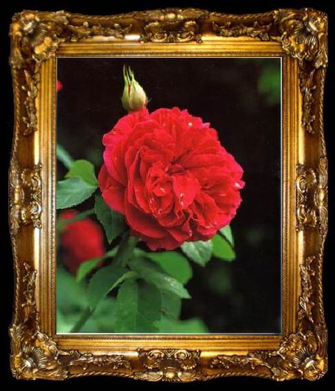 framed  unknow artist Still life floral, all kinds of reality flowers oil painting  359, ta009-2